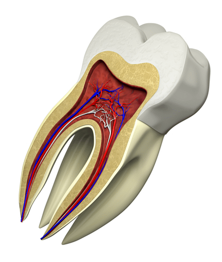 root canals chandler arizona dentist